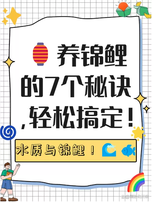 怎么快速钓到锦鲤