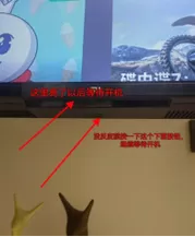 小米11黑屏按三个键恢复