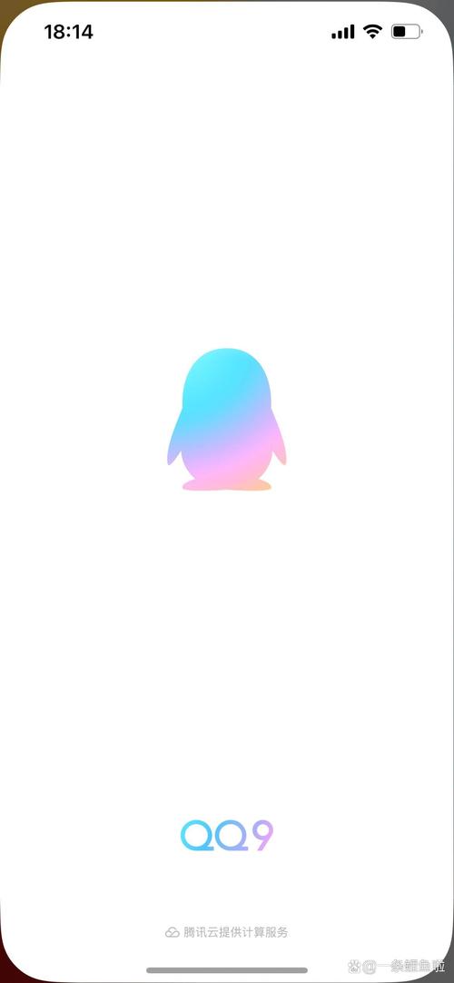 qq跟某人的聊天界面闪退