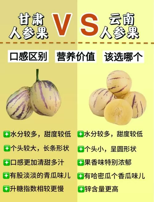 人参果的功效及药用价值
