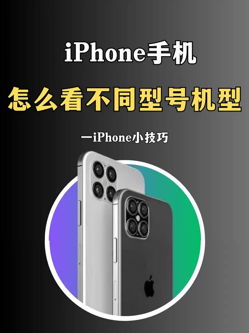 苹果手机在哪里看版本型号