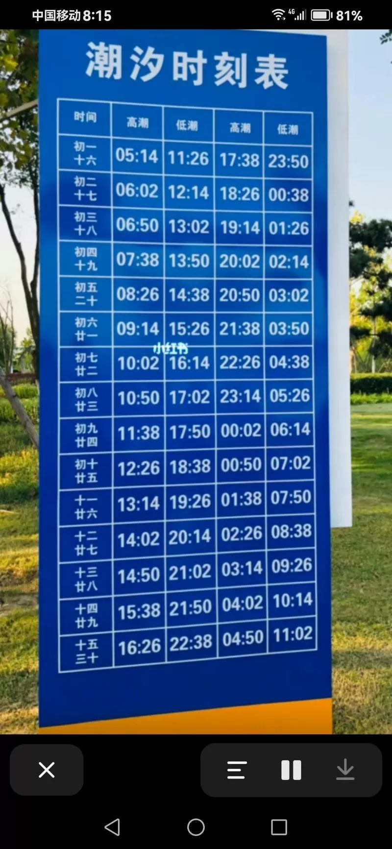 全国潮汐表2023免费版