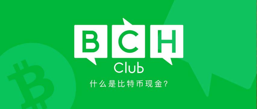 bch是主流币吗