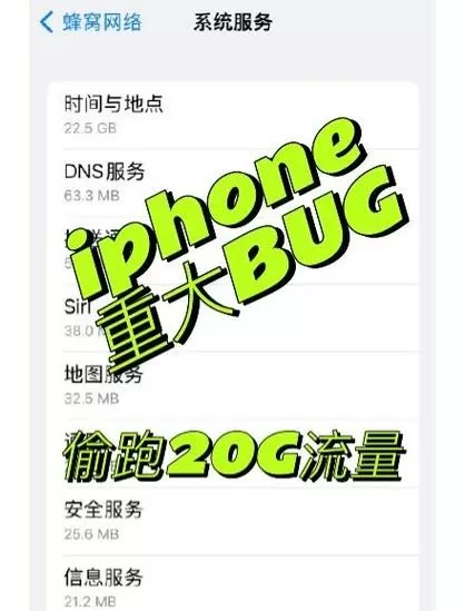 苹果手机有没有流量监控