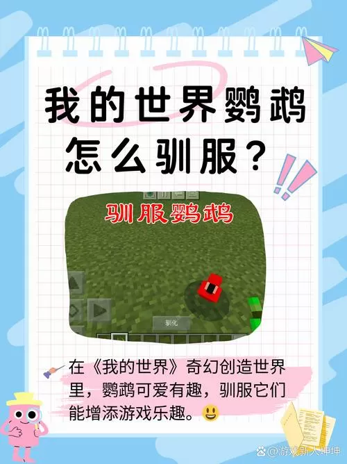 我的世界鹦鹉怎么驯服?