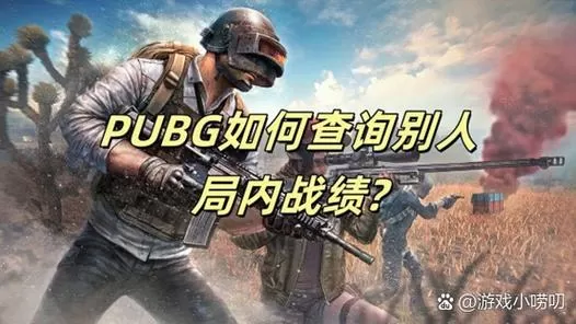 pubg端游怎么观战好友图标