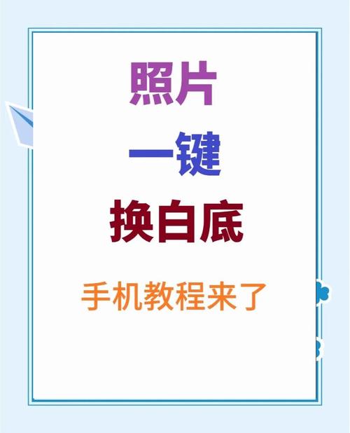 手机照片怎么换白底