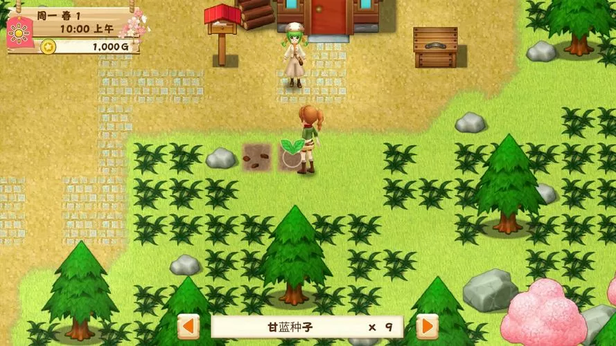 牧场物语希望之光破解版