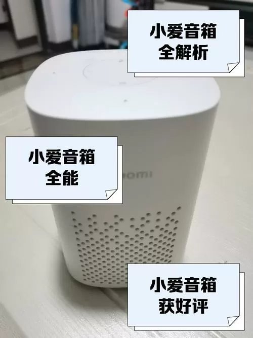 小爱音箱play怎么重置