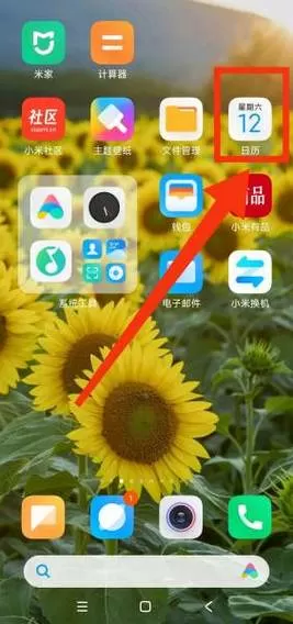 vivo倒数日在哪里设置
