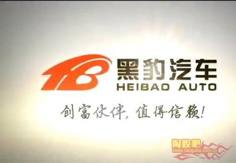 黑豹科技有限公司