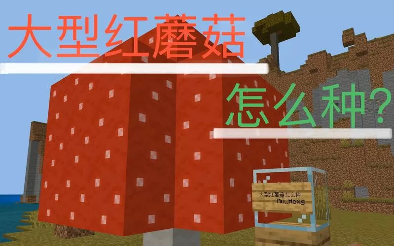 mc蘑菇怎么繁殖