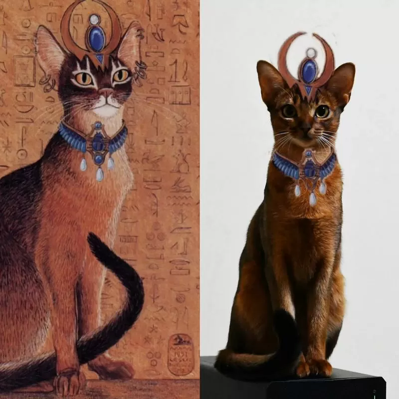 埃及阿比西尼亚猫