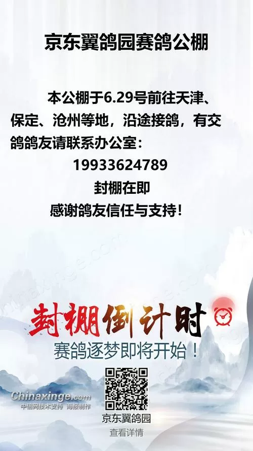 京东翼鸽园赛鸽公棚最新消息