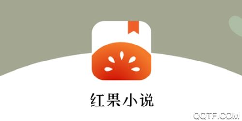 红果小说赚钱