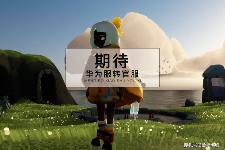 光遇开挂悬浮窗辅助器华为