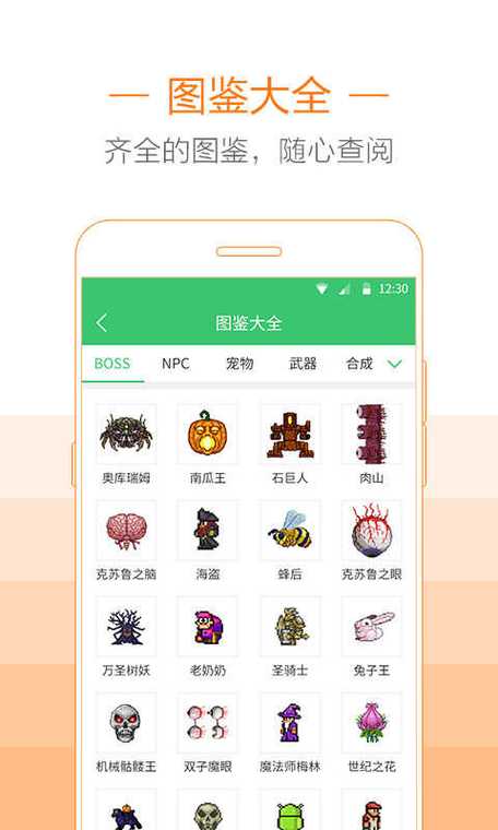 泰拉瑞亚盒子助手使用方法