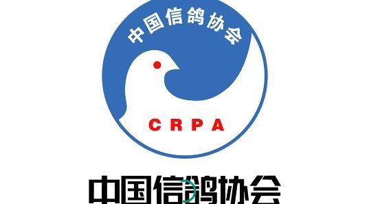 中国信鸽直播3G