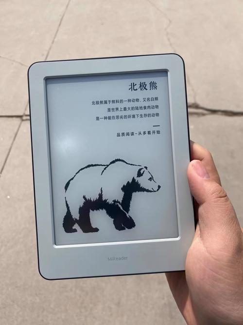 白熊阅读里的文以后从哪里看