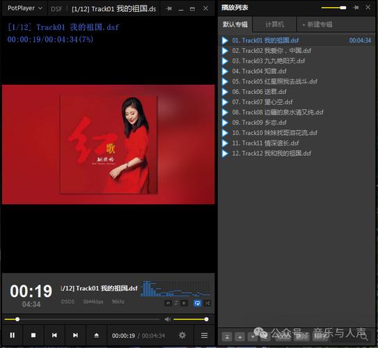 potplayer如何看电视剧永久vip