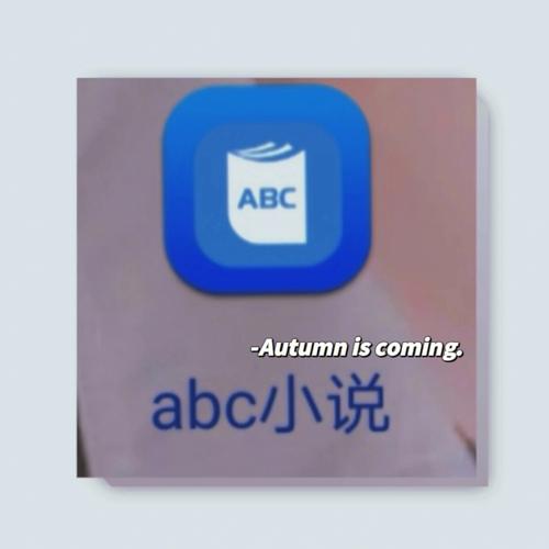 abc小说安装体验喵
