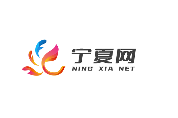 宁夏云平台登录入口网址