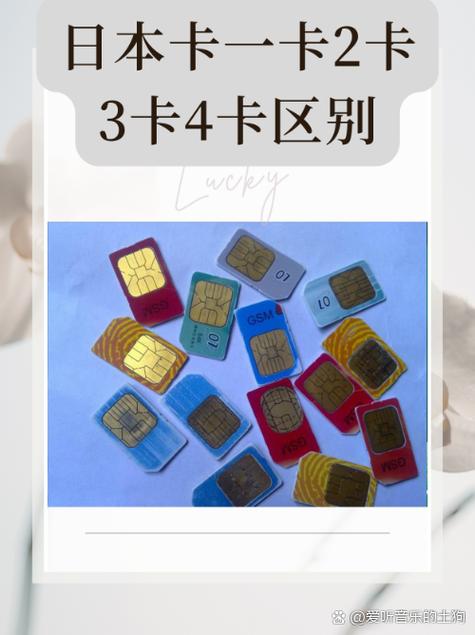 国产一卡二卡3卡4卡视频手机版