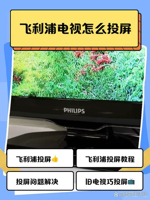 飞利浦电视如何看直播电视节目