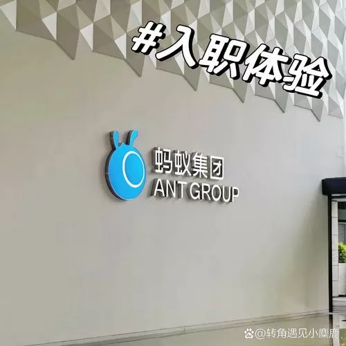 工蚁互联公司是干什么的