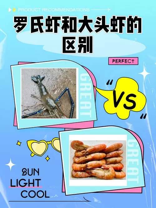 罗氏虾和大头虾的区别截图