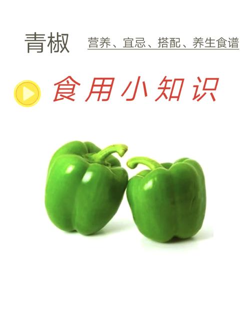 青小辣椒的功效与作用