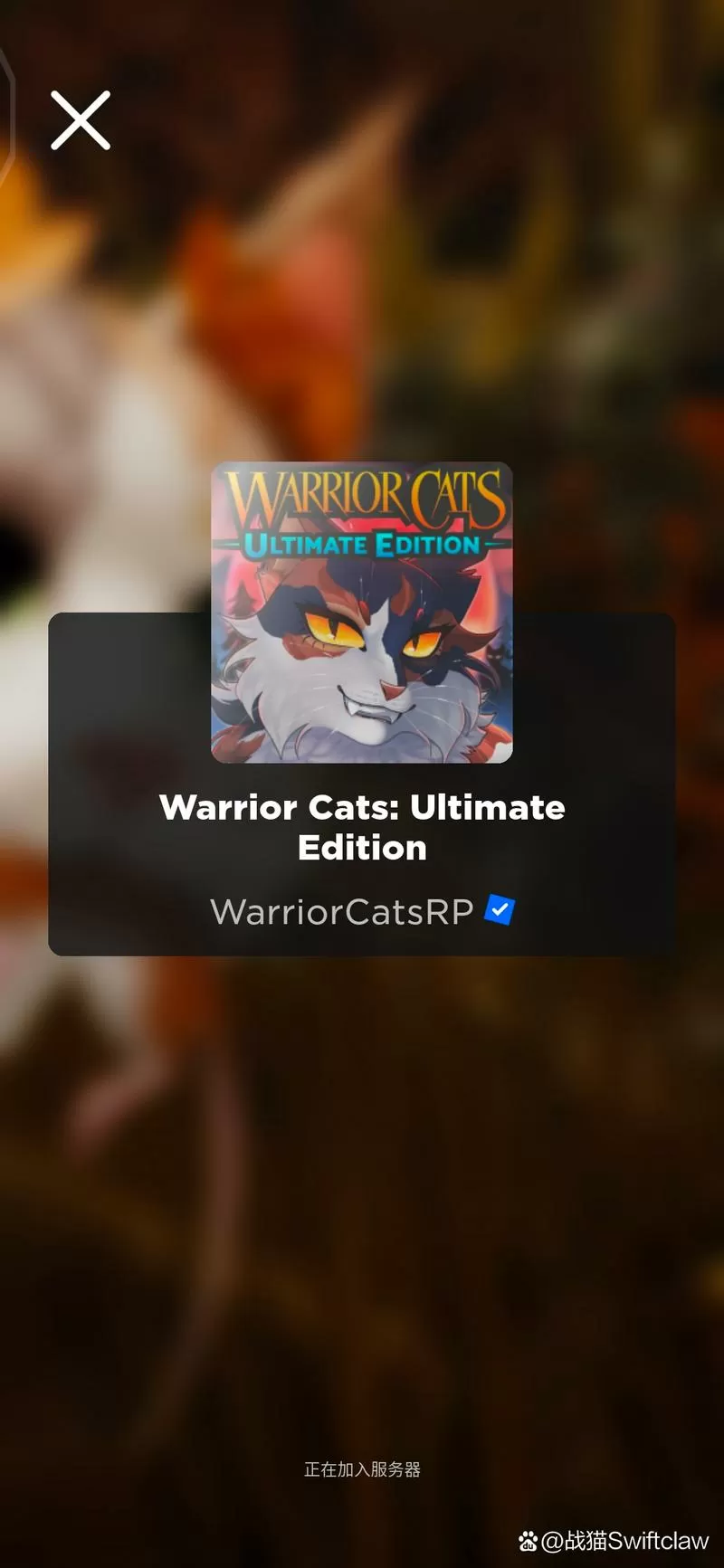终极猫模拟器破解版无限经验版