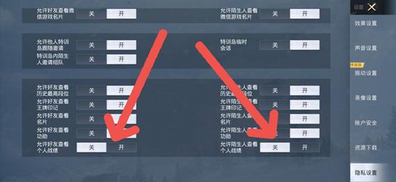 和平精英怎么设置不让别人看战绩