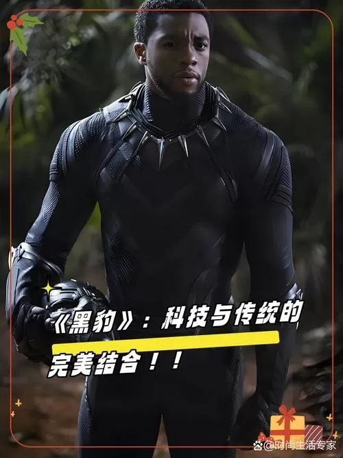 《黑豹》免费观看