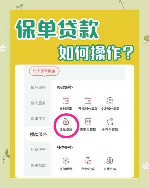 保单贷款能贷多少