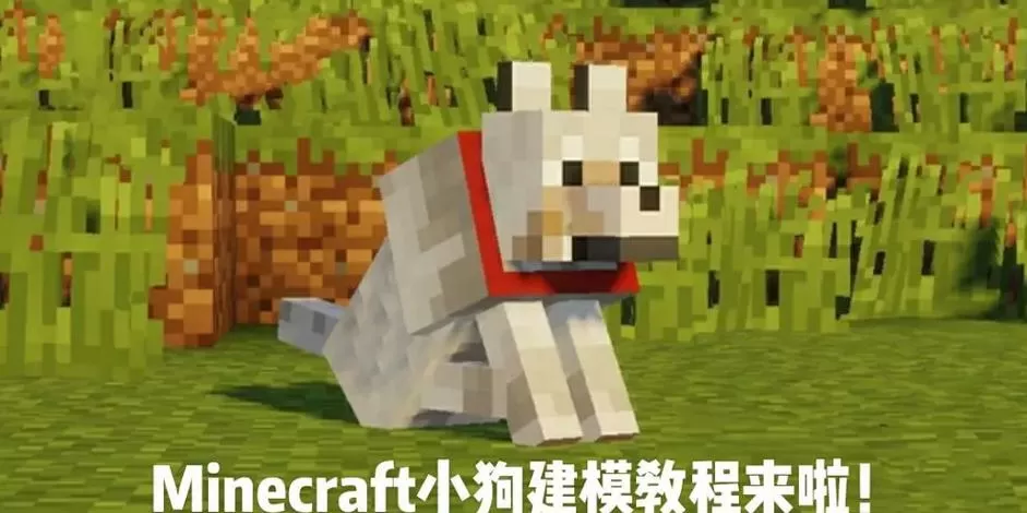 我的世界能让狗无敌的指令