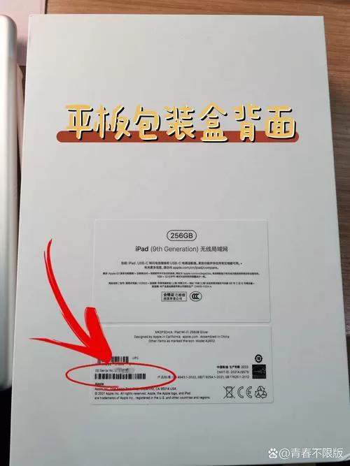 ipad在哪里看激活日期截图