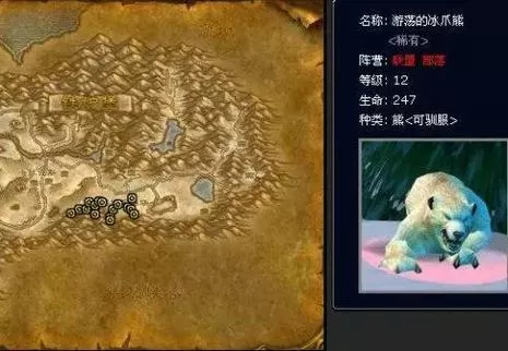 魔兽世界猎人宝宝排名一览表