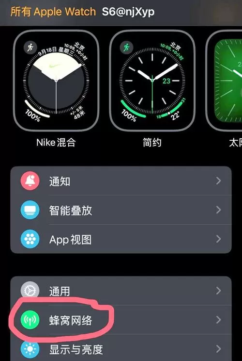蜂窝数据栏的app不见了