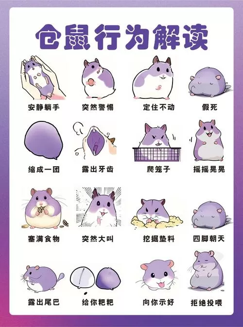 仓鼠为何突然上蹿下跳