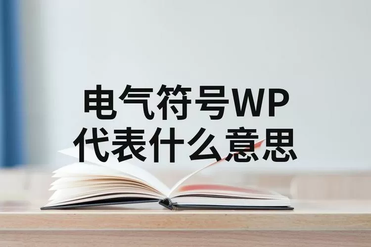 wp是什么意思