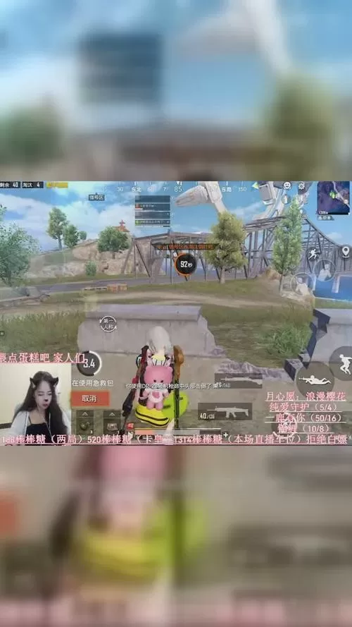 和平精英妍妍