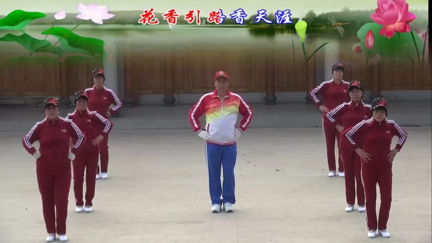 齐之韵第一套全集