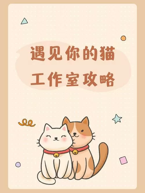 遇见你的猫喵圈攻略最新