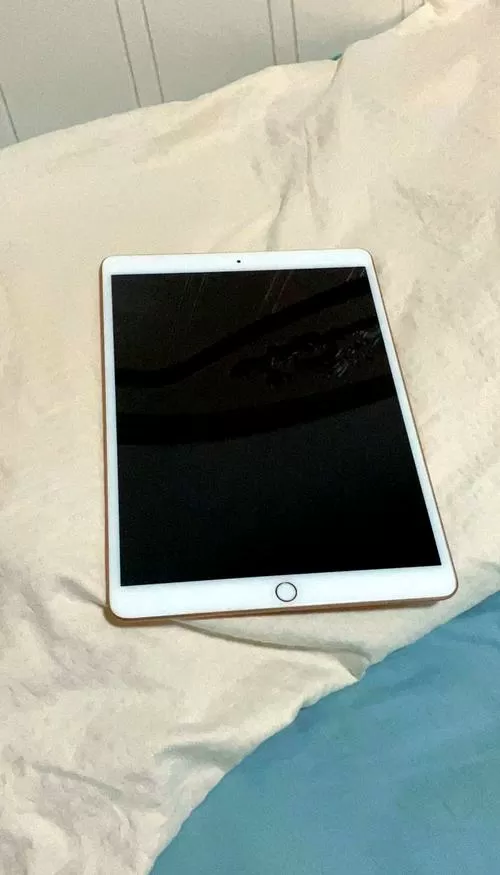 ipad玩着玩着突然黑屏