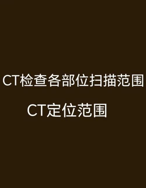 网上怎样查CT报告截图