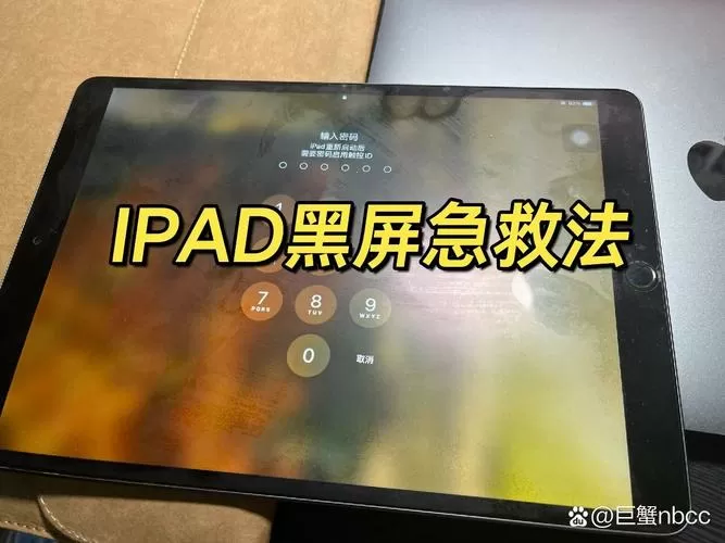 ipad投屏黑屏只有声音