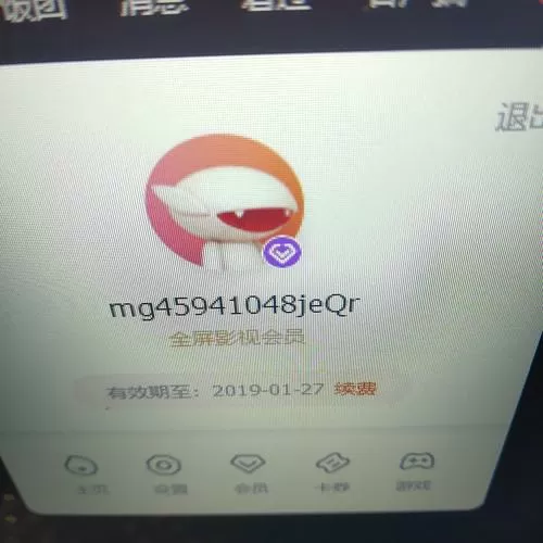 租号玩的vip兑换码