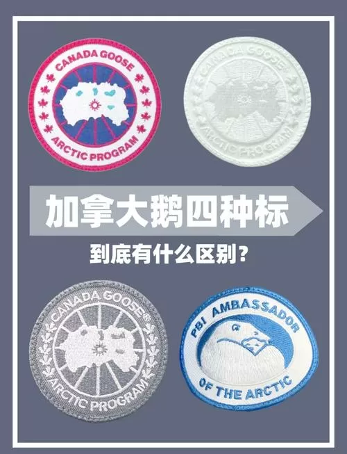 一只鹅一年能取几次绒