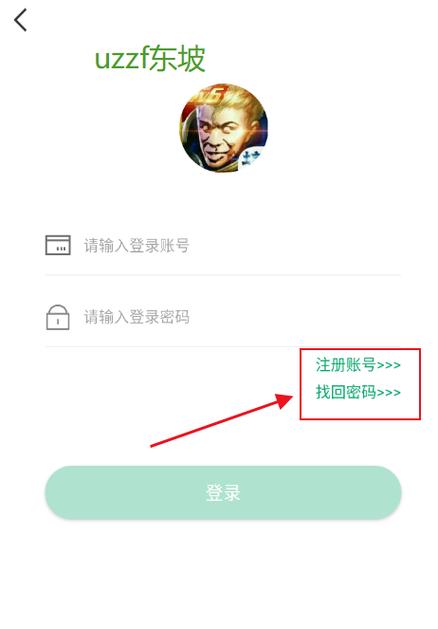 王者小盒子鹿子零